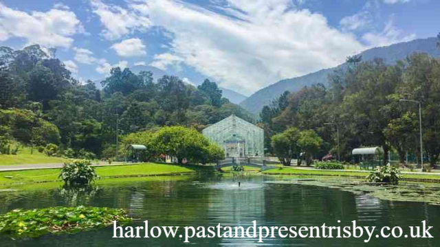 Taman Botani Cibodas: Surga Flora di Lereng Gunung Gede
