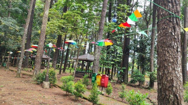Mentaos Forest Escape: Menyelami Eksotika Wisata Alam Pinus